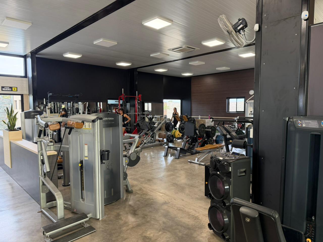 Área de musculación